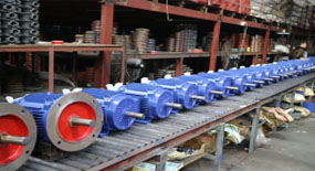 防爆電磁制動電機(jī)