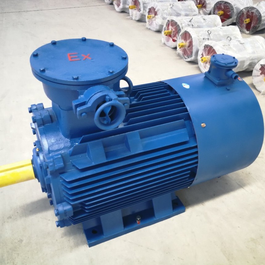 防爆變頻電機(jī)種類